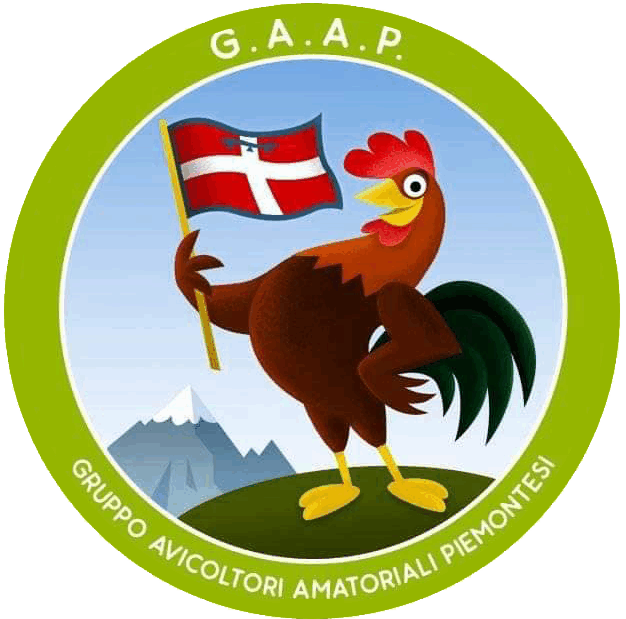 ISCRIVITI A G.A.A.P.